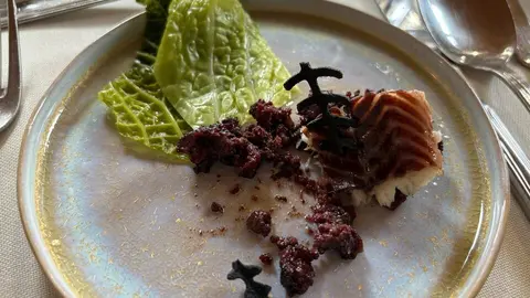 Festival Bragança_10