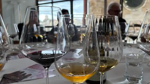 Festival Bragança_16