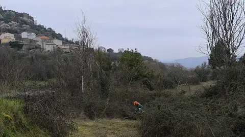 Fermoselle desbroce