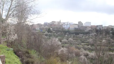 fermoselle almendros en flor _28