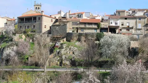 fermoselle almendros en flor _8