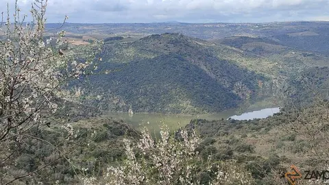 fermoselle almendros en flor _34