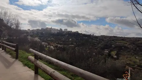 fermoselle almendros en flor 