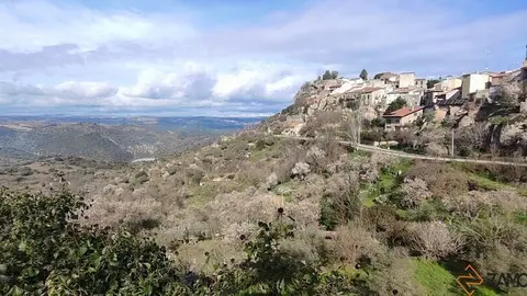 fermoselle almendros en flor _5