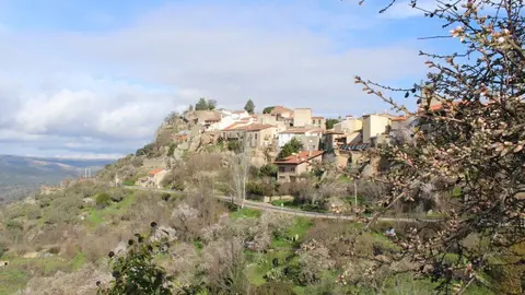 fermoselle almendros en flor _10
