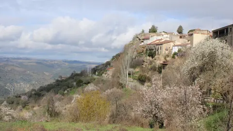 fermoselle almendros en flor _11