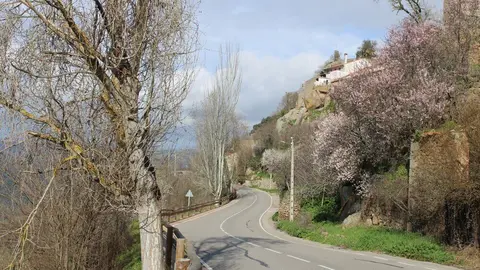 fermoselle almendros en flor _15