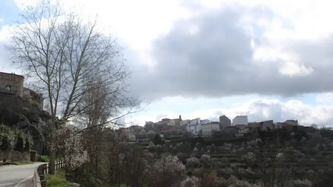 fermoselle almendros en flor _27