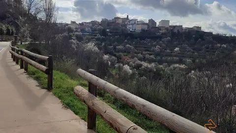 fermoselle almendros en flor _38