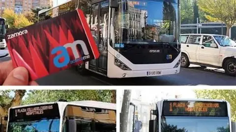Estafa Bus Zamora