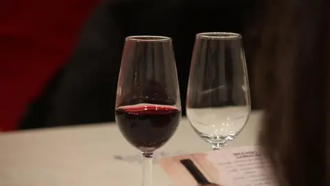 catas de vino 