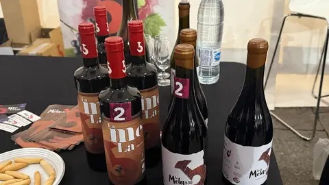 Salón del Vino Zamorano_12