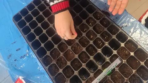 Plantas Autismo Zamora