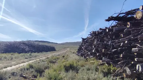 La culebra monte pelao y maderas a la espera de transporte