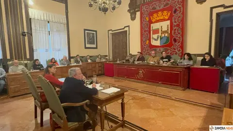 Pleno Ayuntamiento