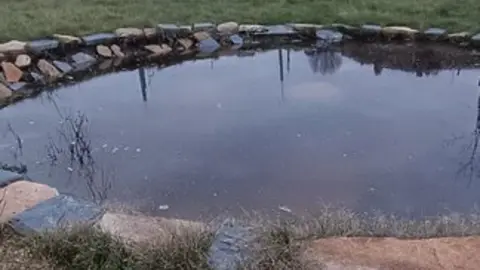 Las charcas de la Hiniesta se llenan de agua