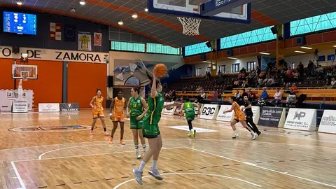 Zamarat vs Arxil