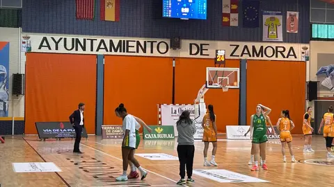 Zamarat vs Arxil