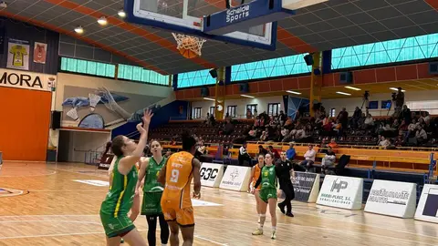 Zamarat vs Arxil