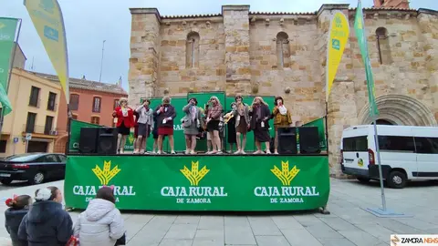 Los Pobladores 'cobran vida' como maniquíes en el Carnaval de Zamora