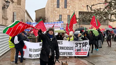 manifestación contra el biogás