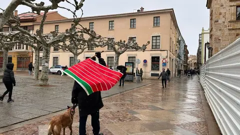 manifestación contra el biogás