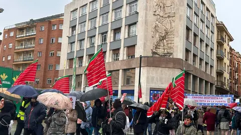 manifestación contra el biogás