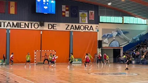 BM Zamora vs Covadonga