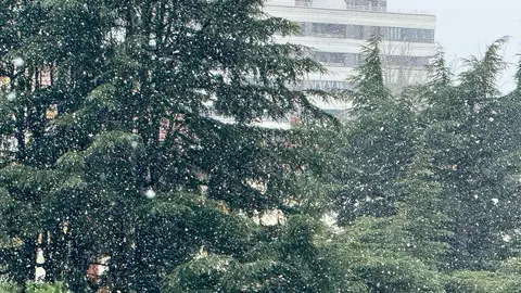 Nieve en Zamora. imagen de archivo
