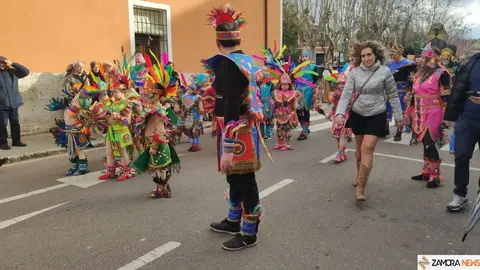 Desfile infantil de Carnaval, Toro