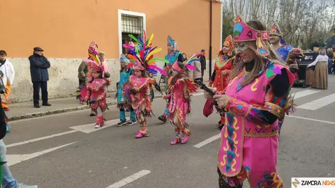 Desfile infantil de Carnaval, Toro