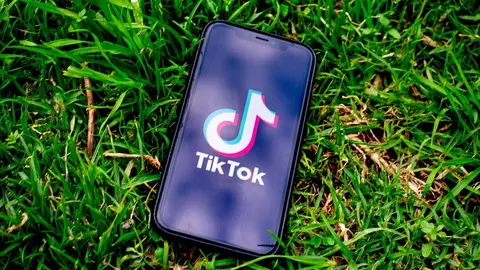 tiktok-5323007_1280