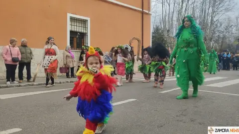 Desfile infantil de Carnaval, Toro