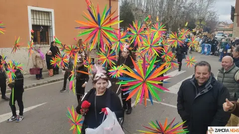 Desfile infantil de Carnaval, Toro