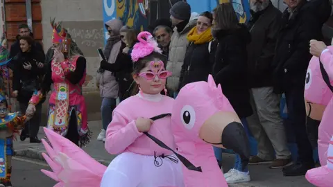 carnaval toro 2025_39