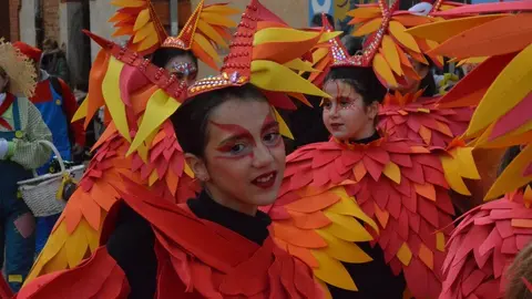 carnaval toro 2025_78