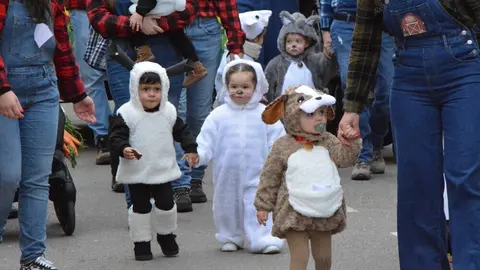 carnaval toro 2025_122