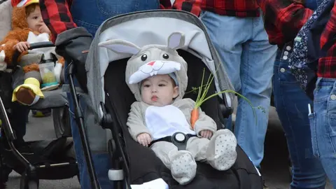 carnaval toro 2025_126