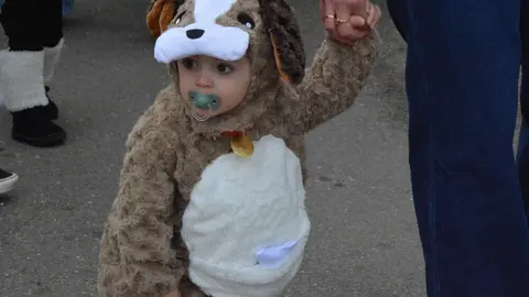 carnaval toro 2025_128