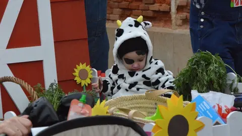 carnaval toro 2025_131