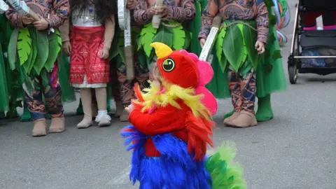 carnaval toro 2025_199