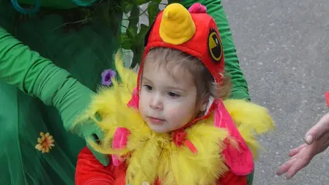 carnaval toro 2025_201