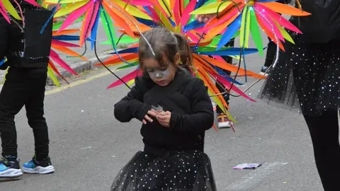 carnaval toro 2025_236