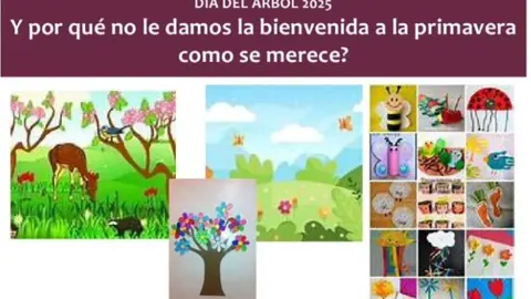 Actividad Primavera Galende