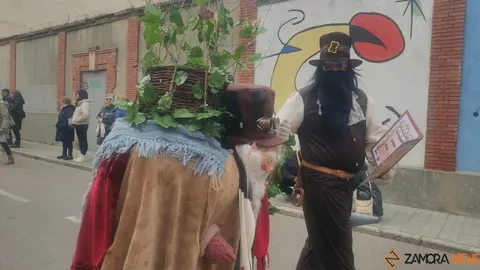 Carnaval Toro