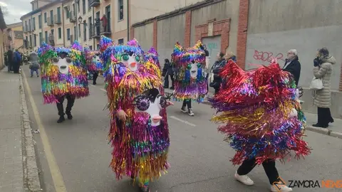 Carnaval Toro_11