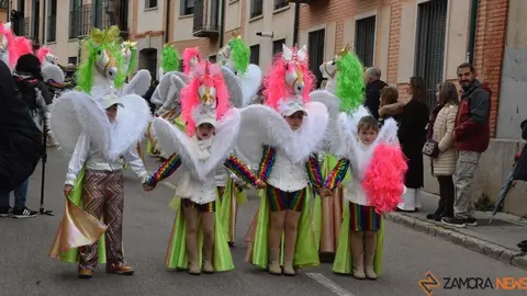 carnaval toro 2025_3