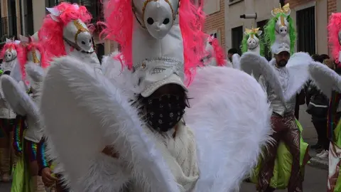 carnaval toro 2025_4