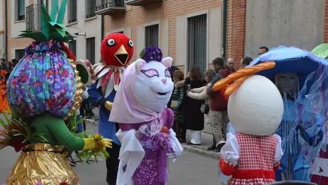 carnaval toro 2025_35