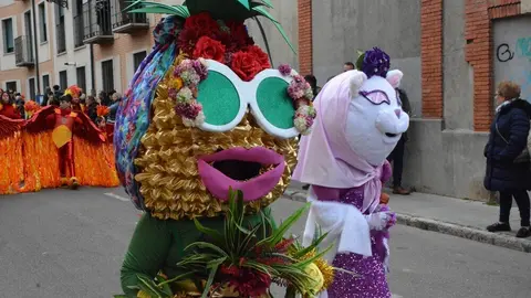 carnaval toro 2025_36